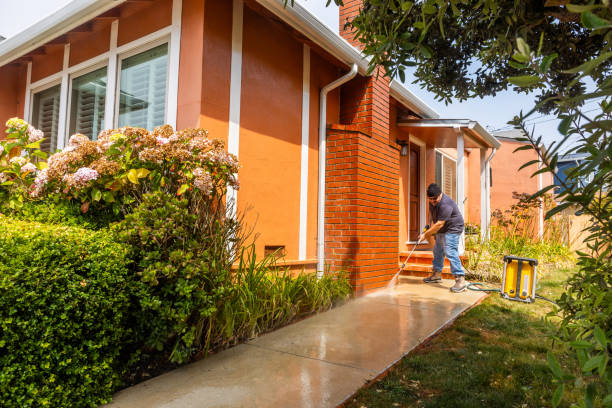 Best House Pressure Washing  in Binghamton University, NY